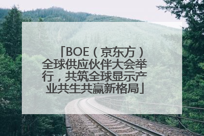 BOE（京东方）全球供应伙伴大会举行，共筑全球显示产业共生共赢新格局